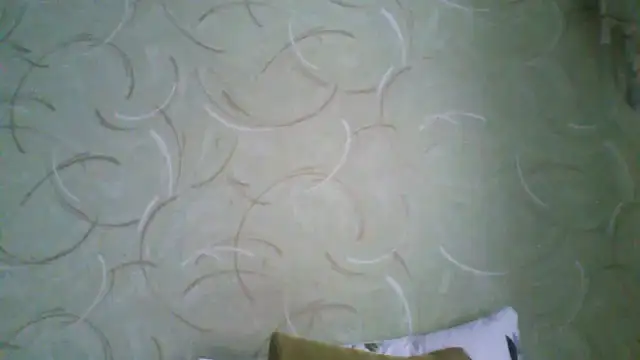 Snapshot of ClaireShannon chatting on 3, 3, 2026 ClaireShannon online show from 3, 3, 2026