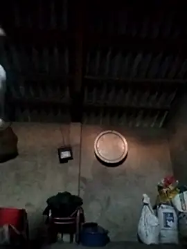 LeoPet2x online show from 15, 12, 2025