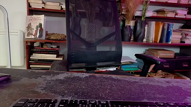 Snapshot of diogene11 chatting on 29, 11, 2025 diogene11 online show from 29, 11, 2025