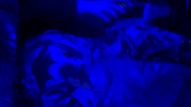 Snapshot of joshbrown699 chatting on 30, 11, 2025 joshbrown699 online show from 30, 11, 2025