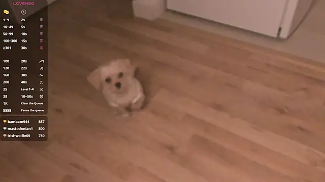 MePretty online show from 23, 3, 2025