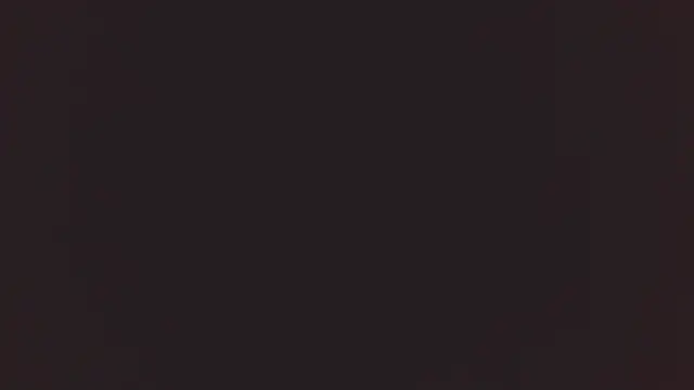 Bellamorgann online show from 2, 12, 2025