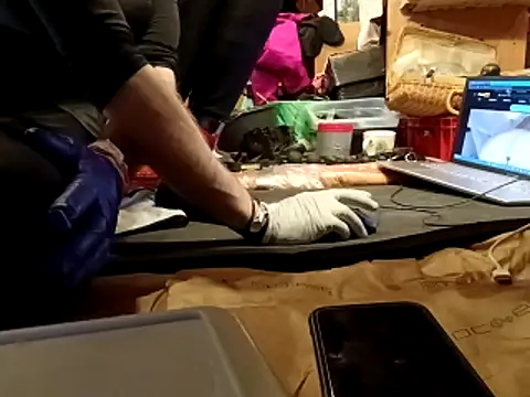 laaralatexxa BDSM online show from 13, 3, 2026