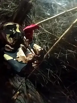 Karisma ji online show from 19, 1, 2026