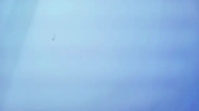 Nicole sounders online show from 19, 1, 2026