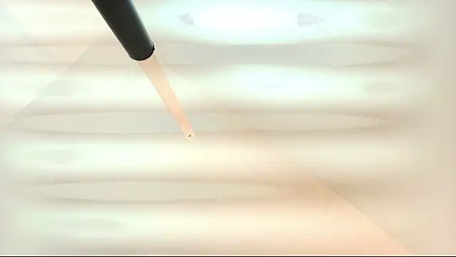 tamara walter online show from 5, 3, 2026