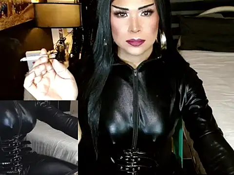 sheenavi online show from 16, 2, 2026