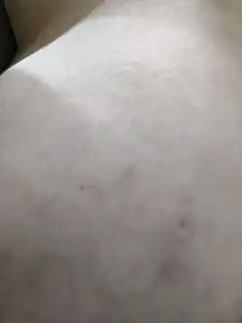 palomitka online show from 11, 2, 2026