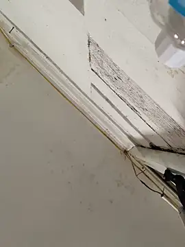 Mon babyy online show from 17, 1, 2026