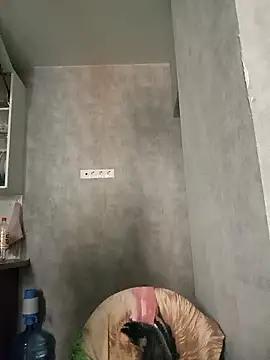 HapinessLovee online show from 22, 3, 2026