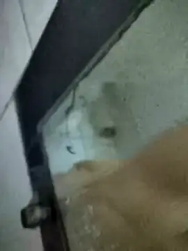 Amoooooun online show from 15, 1, 2026