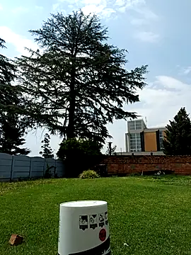 PetiteDoll 06 online show from 21, 2, 2026