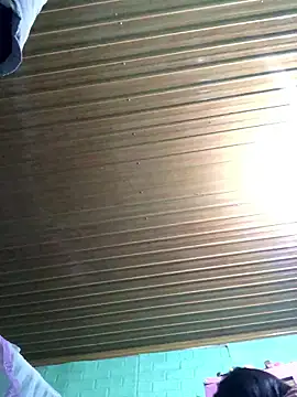 Pege-nii online show from 15, 1, 2026