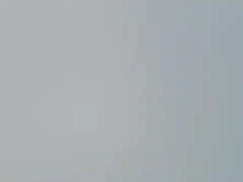 Snapshot of Fish_136 chatting on 1, 4, 2026 Fish 136 online show from 1, 4, 2026