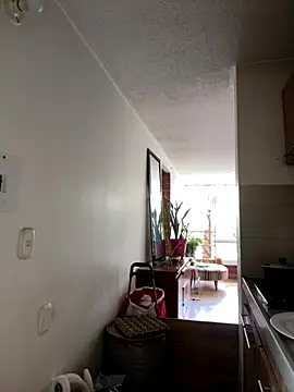  NickJuniorr online show from 13, 12, 2025