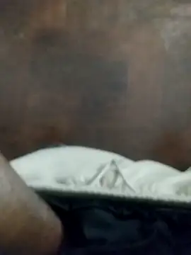 TheeblackDivckgiver online show from 24, 2, 2026