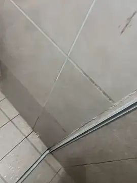 sugar babyy1 online show from 18, 3, 2026