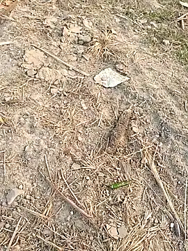 Snapshot of sexloverg7 chatting on 15, 12, 2025 sexloverg7 online show from 15, 12, 2025