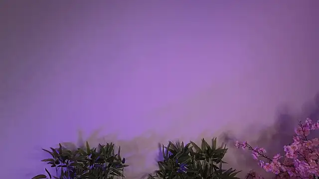 Mila Whelson online show from 17, 1, 2026