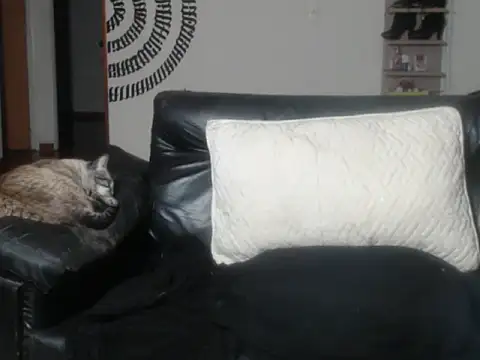 Snapshot of BeautyYoungblond chatting on 14, 3, 2026 BeautyYoungblond online show from 14, 3, 2026