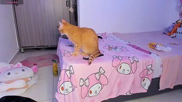 ammierouge online show from 8, 2, 2026