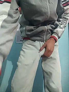 Snapshot of harshv11 chatting on 12, 1, 2026 harshv11 online show from 12, 1, 2026