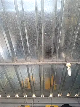 Snapshot of biggy_mash chatting on 17, 12, 2025 biggy mash online show from 17, 12, 2025