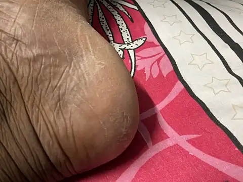 delhi real bull online show from 17, 12, 2025