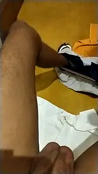 Novinhoie online show from 14, 2, 2026