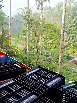 ancyauhuss online show from 22, 12, 2025