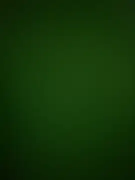 08yeis online show from 8, 2, 2026