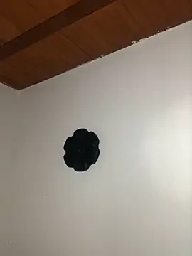 seth c online show from 21, 3, 2026