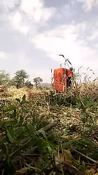 Snapshot of hornycouple20000 chatting on 19, 3, 2026 hornycouple20000 online show from 19, 3, 2026