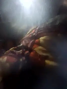 Couples9090 online show from 10, 1, 2026