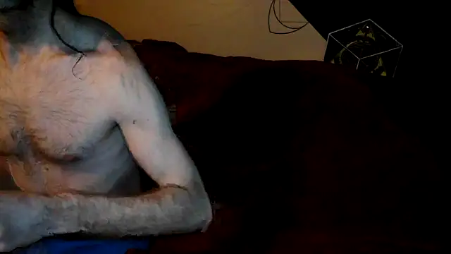 toy2use87 online show from 31, 1, 2026