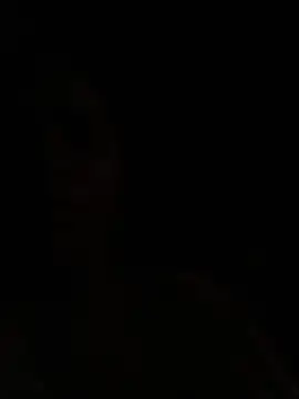 hot girl suman online show from 7, 2, 2026