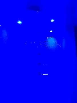 HORSELEG45 online show from 1, 2, 2026