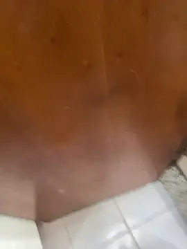 Snapshot of jeanramon01 chatting on 20, 3, 2026 jeanramon01 online show from 20, 3, 2026