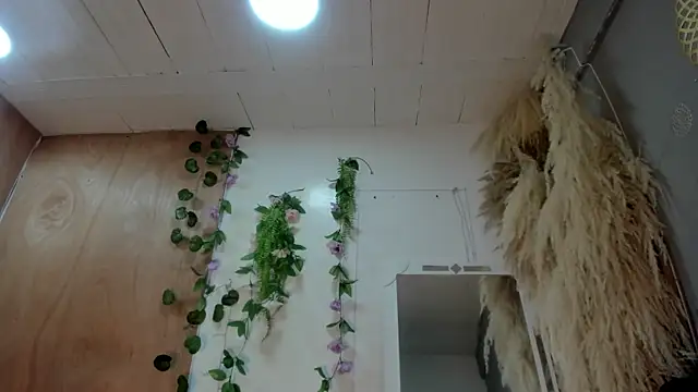 Snapshot of Alice_randyy chatting on 10, 2, 2026 Alice randyy online show from 10, 2, 2026