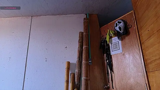 Snapshot of Alice_randyy chatting on 12, 2, 2026 Alice randyy online show from 12, 2, 2026