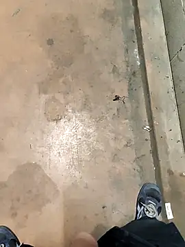 TAMI61 online show from 4, 2, 2026