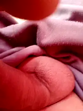 Bongdemdai online show from 8, 2, 2026