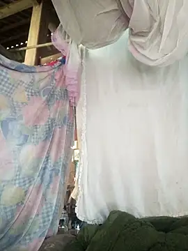 Piu 18 online show from 21, 2, 2026