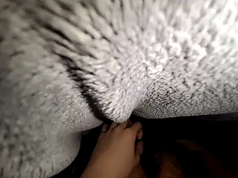 pelseae3721 online show from 12, 2, 2026