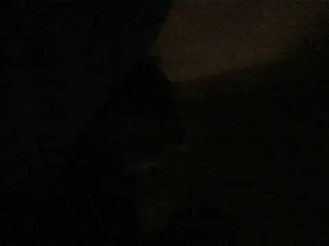 kwandero1234 online show from 9, 1, 2026