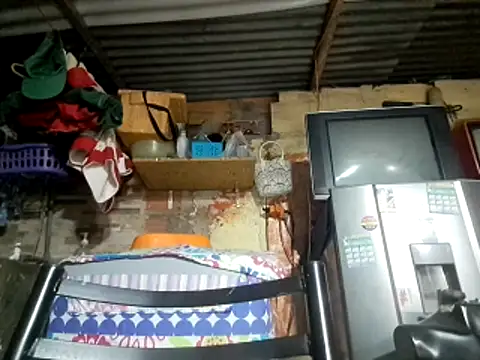 Snapshot of kitty_pi chatting on 8, 2, 2026 kitty pi online show from 8, 2, 2026