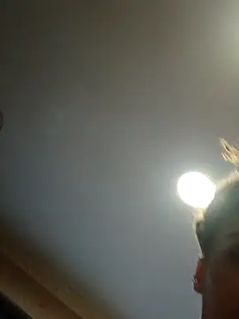 dear2002 online show from 17, 1, 2026