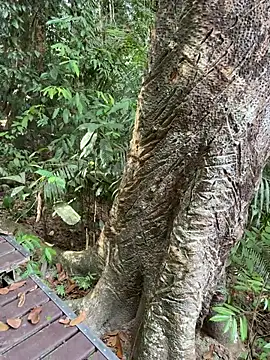 HOTLibertine online show from 9, 2, 2026