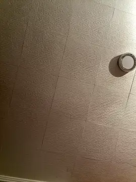 Evelin199 online show from 8, 2, 2026