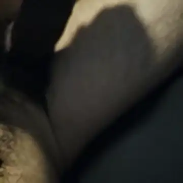 AnonymousTwinkie online show from 27, 3, 2026